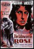 Die tätowierte Rose (1955) Burt Lancaster