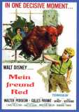 Mein Freund Red (1962) Walter Pidgeon