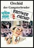 Orchid der Gangsterbruder (1940) Edward G.Robinson