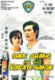 Shen Chang und die Karatebande (1973) Wang Chung